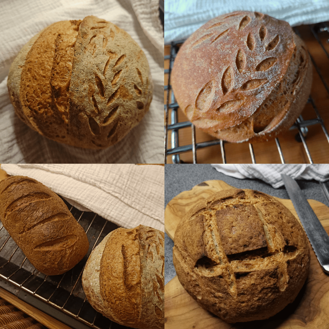 E-boek: Écht Brood, de kunst van Glutenvrije Zuurdesem